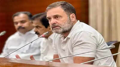 Rahul Gandhi dual citizenship case: HC orders FIR against Cong MP; petitioner hails ‘landmark’ judgment