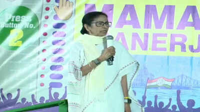 Mamata cites 'load-shedding', warns against 'EVM capture'