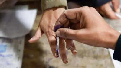 Puducherry elections: 23% of candidates face criminal cases, TVK leads with 10 names