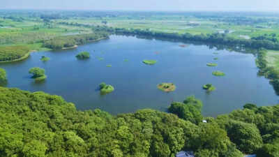 File photo Shekha Jheel Bird Sanctuary of Aligarh gets a global tag, taking India's tally of protected wetlands to 99