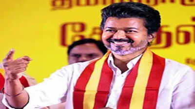 Vijay promises free LPG, doles & wedding gold