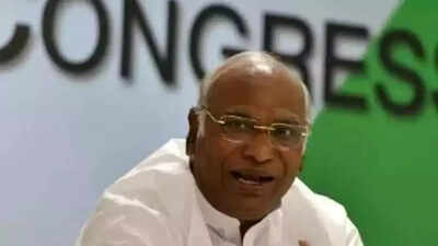 'Sonia Gandhi Takes Decisions': Congress President Kharge On Karnataka CM Change Buzz