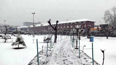 ANI image Mercury plunges as snow, rains hit Kashmir, Himachal & Uttarakhand