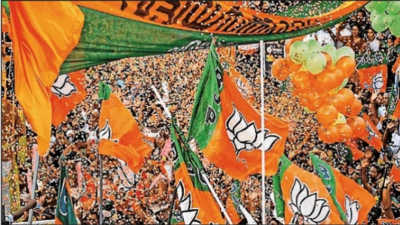 . 0 to 3: BJP rides on development road