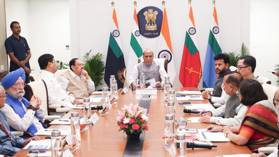 After PM Modi's 'Save Oil' Appeal, Rajnath Singh Chairs Key Energy Security Review Meeting