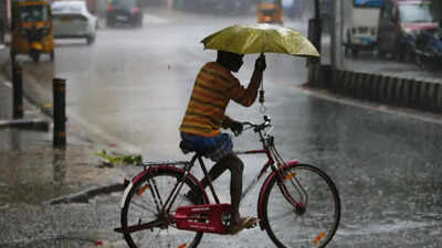 UP thunderstorms: Death toll rises to 117; Yogi govt announces Rs 4 lakh compensation