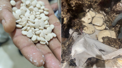 <p>Images/PTI </p> What's 'jihadi drug'? Rs 182 crore Captagon seized under Operation Ragepill