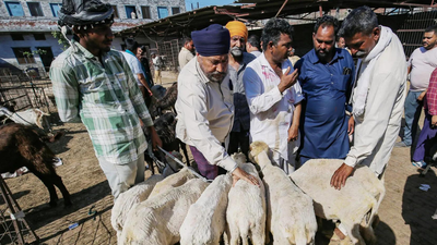 Delhi government monitors transportation, sale and sacrifice of animals ahead of Eid