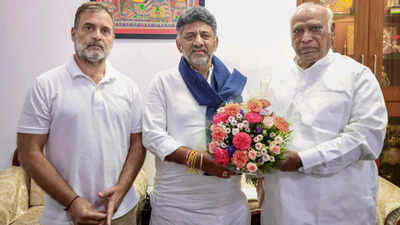 Siddaramaiah’s Exit May Haunt DK Shivakumar & Rahul Gandhi As Karnataka Caste Census Row Explodes Siddaramaiah’s Exit May Haunt DK Shivakumar & Rahul Gandhi As Karnataka Caste Census Row Explodes