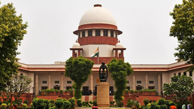 Special Supreme Court bench to hear today TMC plea on counting staff