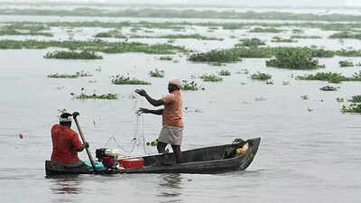 Representative image Monsoon may hit Andamans this week: IMD