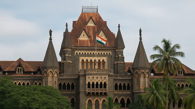 HC raps civic body for razing neta's home