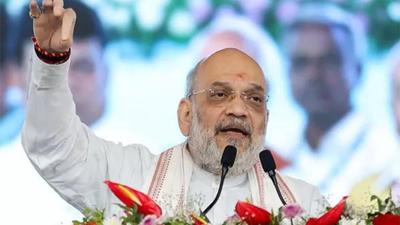 Government panel to examine 'demographic changes'