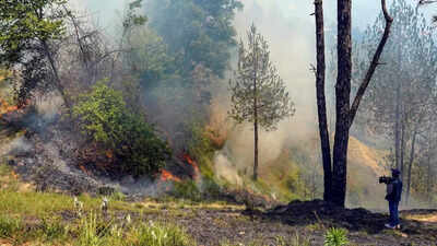 Watch: Heatwave sparks massive fire in Himachal forests; IAF helicopters deployed