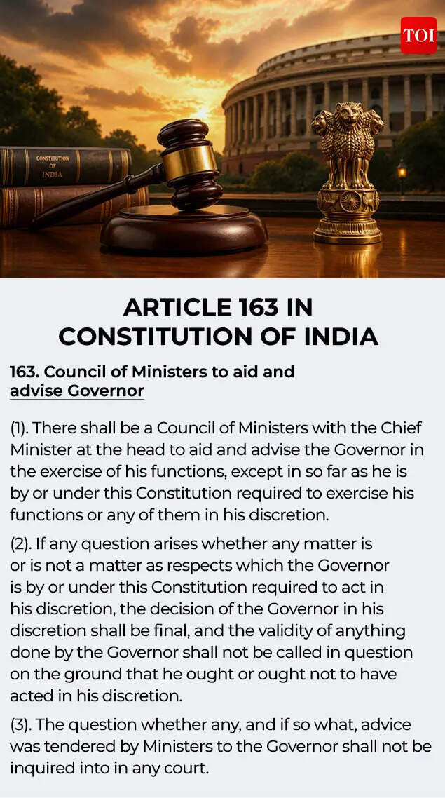 Article 163
