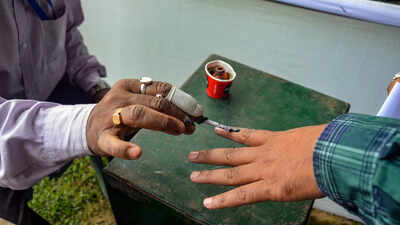 <p>Representational image</p> Did foreigners vote in Tamil Nadu polls? ECI orders probe after 10 detained at Chennai and Madurai airports