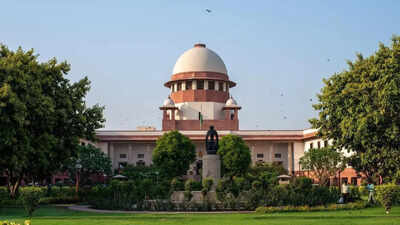 Supreme Court to test validity of scrapping 'self-perceived gender' clause