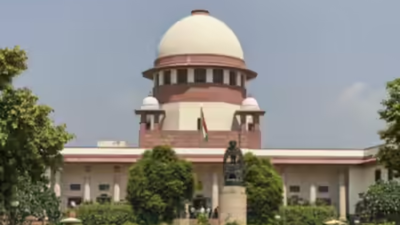 . Supreme Court: Courts not bound by govt’s N-liability cap