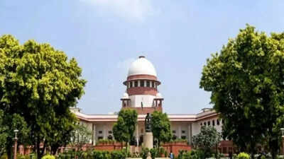 Political banter finds its way into legal arguments in SC