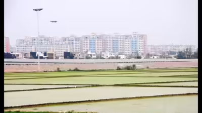 . Noida plot decree pending for 40 years