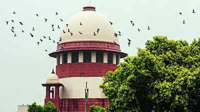 ‘Can’t Be Grand Generalisation For Giving Bail’ Would Kasab have been given bail over trial delay? Government to SC over UAPA debate