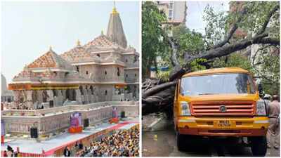 Evening news wrap Evening news wrap: Ayodhya Ram Temple trust to meet early amid leadership reshuffle; 11-year-old dies as tree crushes school van carrying 15 students & more