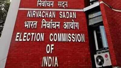 . EC extends deadline for voter verification exercise in Andhra Pradesh, Haryana