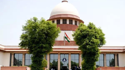 No default bail if chargesheet filed but not provided to accused: Supreme Court