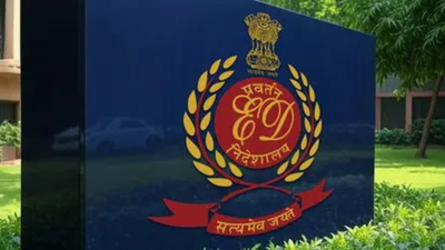ED auctions for Rs 3 crore Hawker aircraft seized in ponzi case