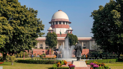 Spouse accused of adultery can't invoke right to privacy, says SC