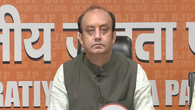 'Dangerous conspiracy' to vilify democracy: BJP