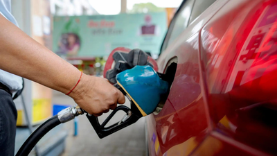 Carmakers on E20: No engine damage, but mileage drops