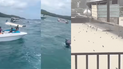 Indians killed in Vietnam, typhoons batter China Evening news wrap: 15 Indian tourists killed in Vietnam boat accident, twin typhoons batter China & more