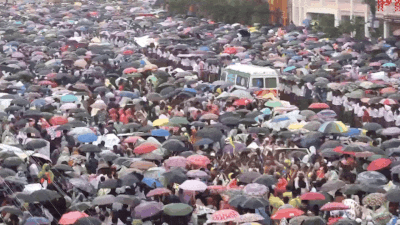 Watch: Puri Rath Yatra crowd makes way for ambulance as fainting devotees rescued on stretchers