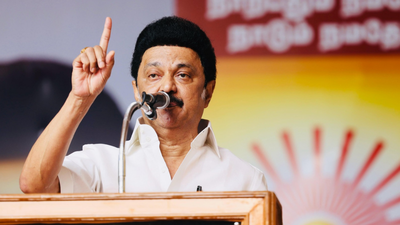 DMK open to talks on delimitation bill 'if Tamil Nadu interests not hurt'