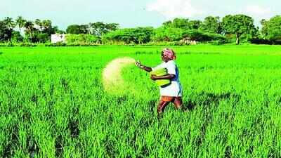 Global urea prices ease after May spike, fall 40% in June