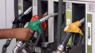 No decision on ethanol blending beyond 20%: Govt
