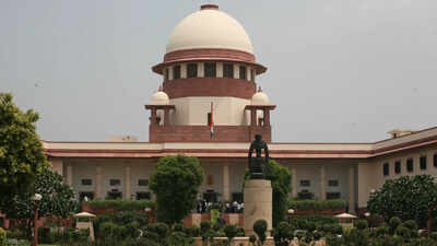 Supreme Court curbs powers of SC panel, says it can’t pass adjudicatory orders