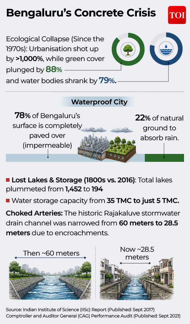 Bengaluru’s Concrete Crisis