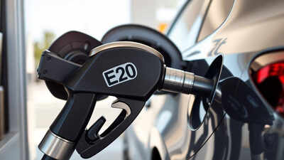 ARAI report found E20 fuel may damage rubber parts in E10 vehicles, engine durability tests carried out for 400-806 hrs