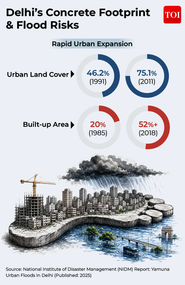 Delhi's concrete footprint
