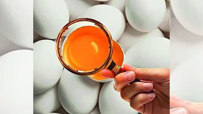 Rotten eggs, spoiled parathas: Swiggy gets 9 notices from FSSAI