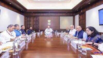 The panel met Union home minister Amit Shah on Wednesday Committee on demographic changes finalises questionnaire for states and UTs ahead of field visits