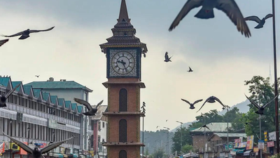 India's 'White Rabbit' time network aims to cut reliance on foreign timing systems (Representative image to show time India rolls out 'White Rabbit' tech to secure Indian Standard Time network: What it means