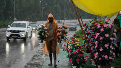 File photo: A vendor protects artificial flowers from the rain at a roadside stall during heavy rainfall in Jammu Jammu and Kashmir: Schools closed in Kishtwar, Doda amid inclement weather