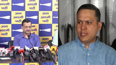 E20 petrol row: Arvind Kejriwal alleges 'strong-arm tactics’; BJP hits back