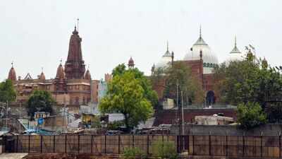 Shri Krishna Janmabhoomi-Shahi Idgah dispute: Hindu side attends Lok Adalat, proposes relocation of mosque