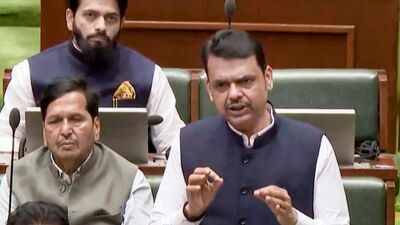 Maharashtra UCC: CM Fadnavis forms 7-member panel; draft law likely in winter session