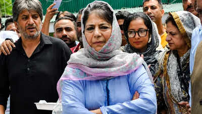 'I regret it': Mehbooba Mufti claims Jantar Mantar remark a slip of tongue, apologises