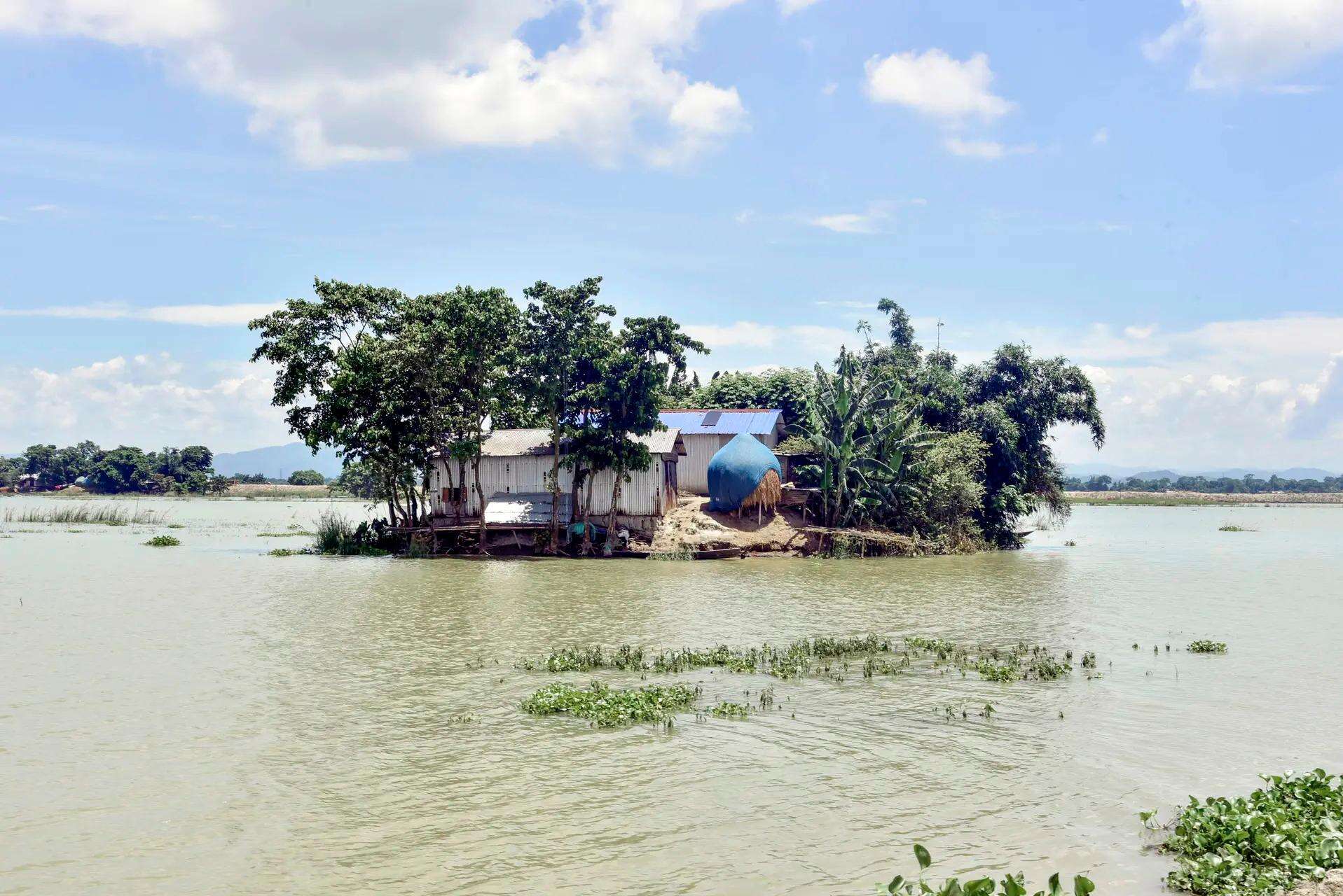 ​Morigaon Assam, (ANI)​